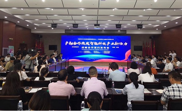 （中国）科技公司科技喜获千万级担保授信